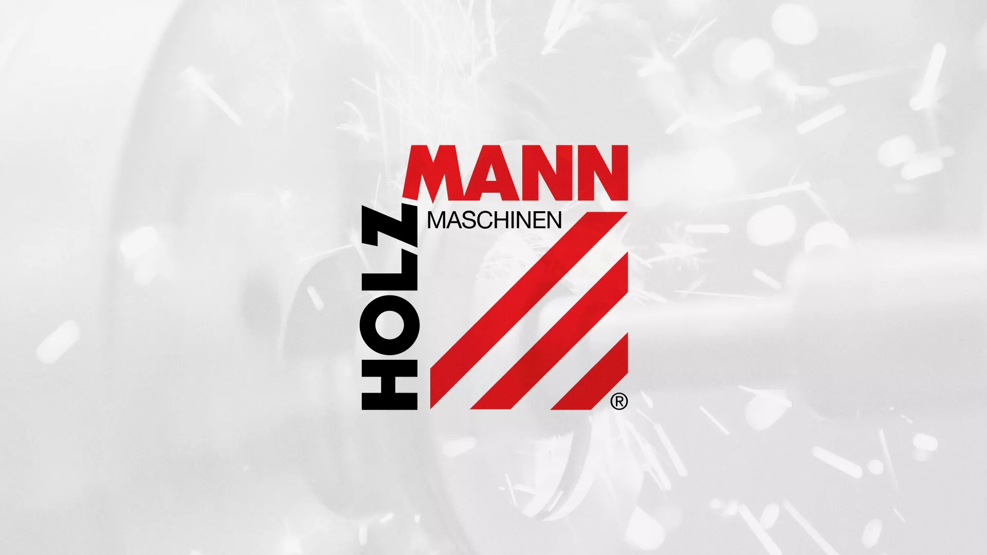 Создание сайта компании «HOLZMANN Maschinen GmbH» в Куровском