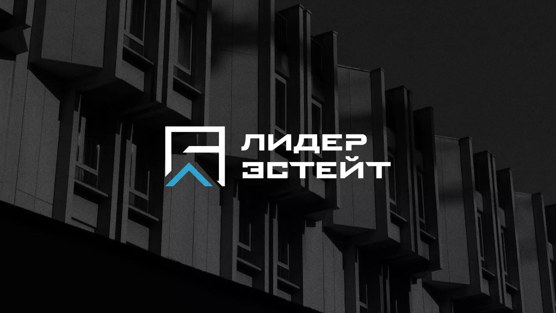 Разработка логотипа агентства недвижимости «Лидер Эстейт» в Куровском